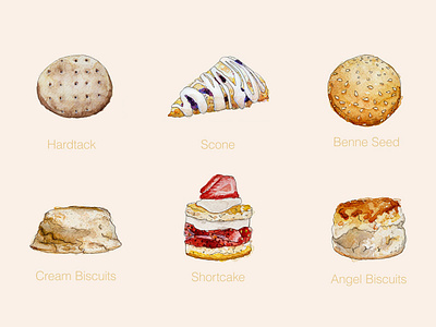 Biscuits - Watercolour Illustrations angel benne seed biscuit biscuits cookie cookies food illustration hardtack illustration scone sesame shortcake watercolor