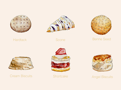 Biscuits - Watercolour Illustrations angel benne seed biscuit biscuits cookie cookies food illustration hardtack illustration scone sesame shortcake watercolor
