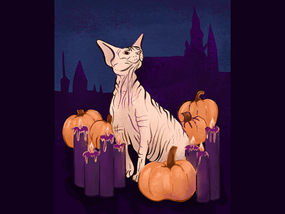 Sphynx Cat with Pumpkins and Candles - Halloween candles cat cat lover creepy cat digital illustration gothic hairless cat halloween haloween cat illustration procreate pumpkins scary cat sphynx cat