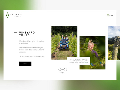 Astley Vineyard bottle branding development director green illustration logo typography ui ux vineyard website wine