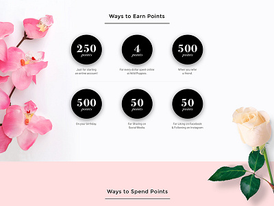 Wild Poppies Loyalty Program desktop flower landing loyalty page points product rewards rose tulip website