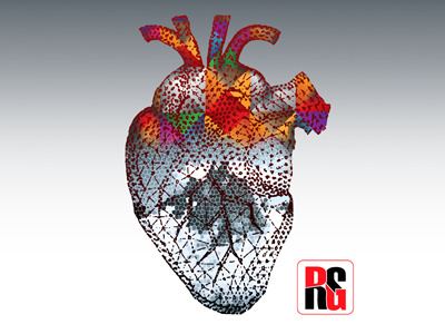 Heart Shape Box Blankilina