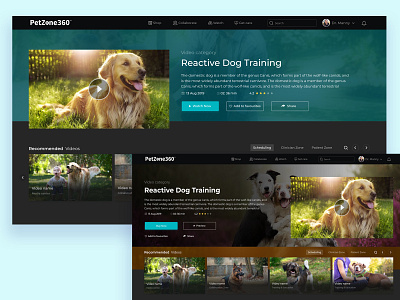 Pet Zone Video details page design details page dogs flat love minimal now pet recommendations ui ux videos watch