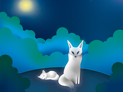 Night Foxes comet fox mamal moon night