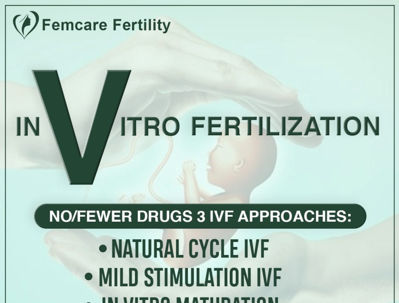 Best IVF Treatment Centre Pune By Femcare Fertility By Femcare ...