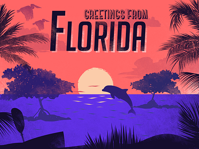 Postcard Florida dolphin dribbble first shot florida kayak mangroves palm pelican sarasota sunset trees