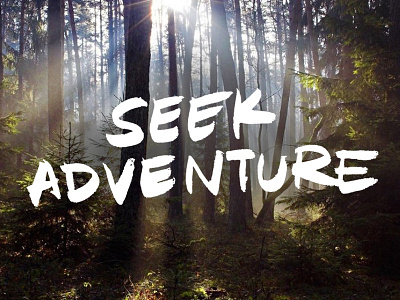 Seek Adventure custom type hand written handrawn shirt trees type typography