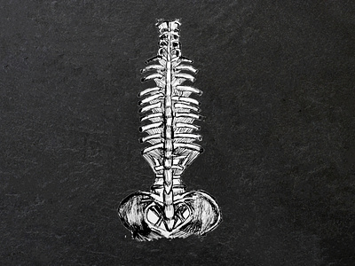 Some people need a spine anatomy art black and whire dark design drawing graphic design human anatomy illustration pen skeleton sketch spine vector
