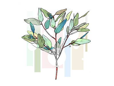 Botanica branding design digital art illustration