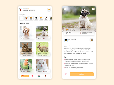 Pet Adoption App animal animals app birds cat cats design dog dogs fish pet pet app pet care pets phone ui ux web