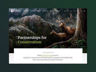 National Fish and Wildlife Foundation homepage ui web web design website