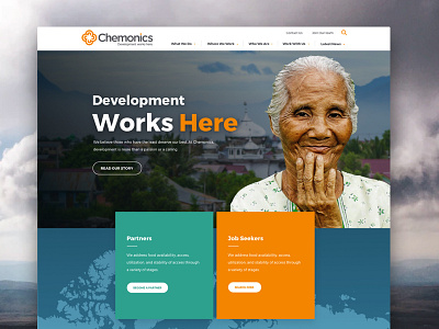 Chemonics Homepage homepage navigation ui web web design website