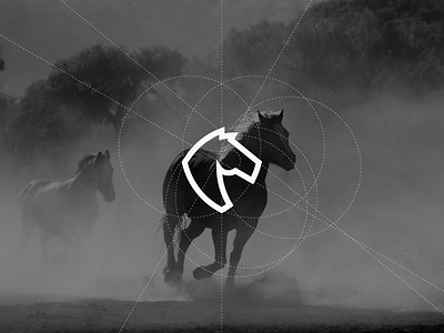 Horse black horse illustration logo logostudy photo stallion study white