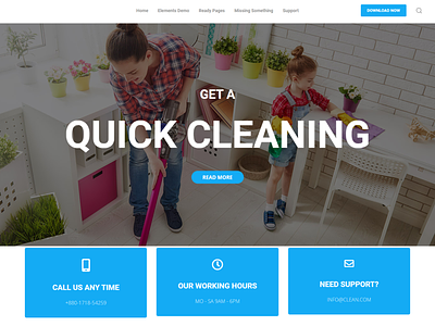 I will design the cleaning website for your business.