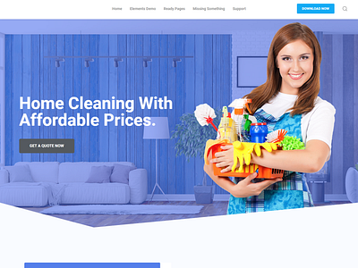 I will design Cleaning website for you