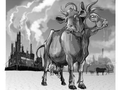 Moo cow factory farming genetic monsanto mutation
