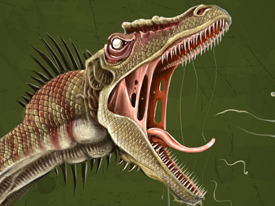 Raptor closeup