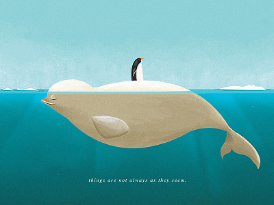 Ice Beluga animal aqua digital drawing fish illustration ocean penguin polar sea water whale