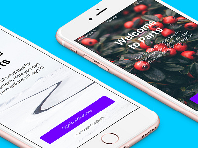 Login screens of PART UI iphone luxury rose gold ui
