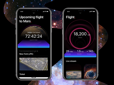 Flight stages app booking elon flight interplanetary mobile musk spacedchallenge speed travel