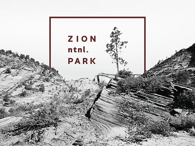ZION national park nature outdoors rocks texture typography zion