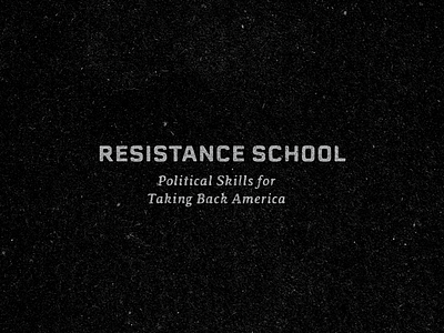 Resistance School branding harvard kennedy school politics texture typography