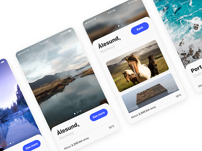 Travelling App Concept app concept ios11 iphone mobible rounded