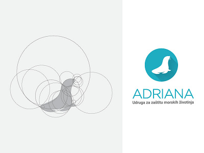 Adriana - Logo Construction branding construction grid icon identity logo logotype sea animal seal
