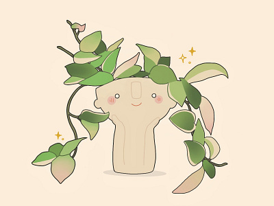 Hoya Carnosa houseplant illustration plant