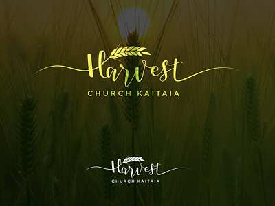 Harvest Church Kaitaia branding ceotips church churchlogo design freelancer graphic design illustration logo ui