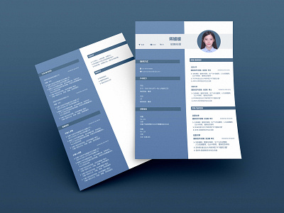 Professional CV