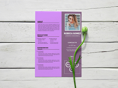 CV/Resume business company curriculum cv design document interview job resume template vector work