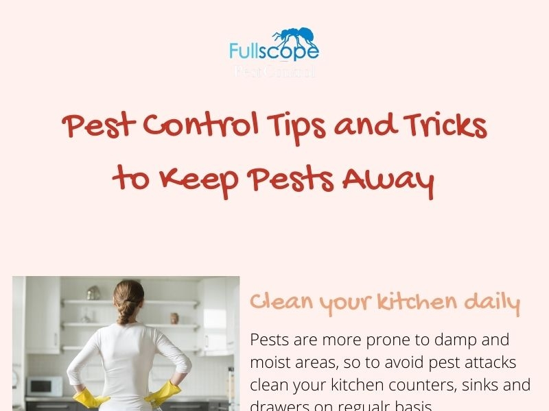 Tips And Tricks To Keep Pests Away By Fullscope Pest Control On Dribbble 8643