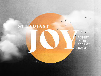 Sermon Series: Steadfast Joy church design james series sermon