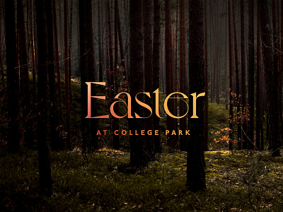 Easter at College Park church darkness design easter graphic design light sunrise woods