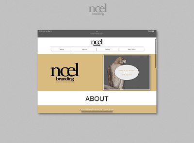 Noel Branding Website Design branding logo website website design