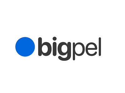 Bigpel big brand identity branding logo logodesign pixel ux