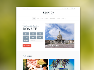 Senator Homepage 1 clean flat icons interface layout minimal political red ui ux web website