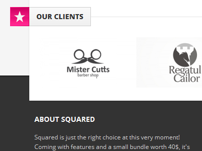 Footer Detail - Squared black clients footer logo themeforest white wordpress theme