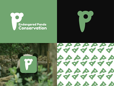 Endangered Panda Conservation Logo Design branding design graphic design illustration logo typography