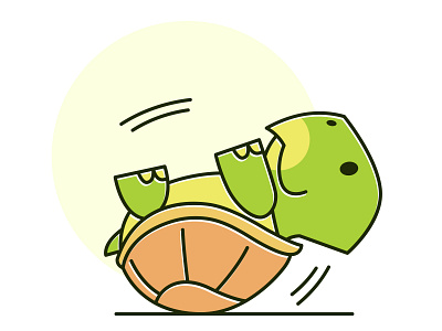 Funny Tortoise Turtle