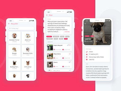 Kennel App animal app application application ui breed design dog kennel ui uidesign