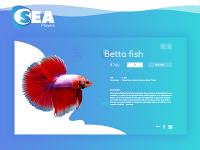 Betta Fish aquarium betta fish ecommerce fish gradient product page sea