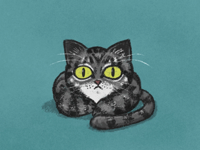 Totopo the cat after effects silentiger animation cat illustration photoshop sketch