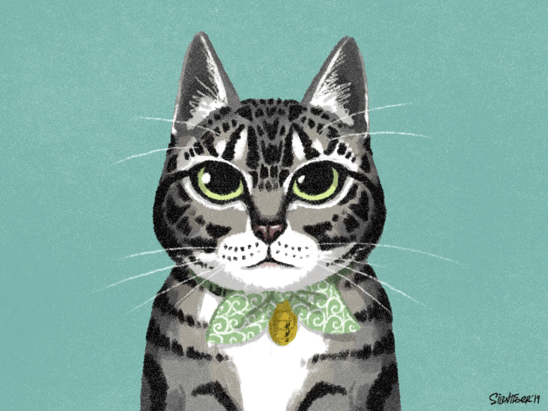 Totopo the cat cat doodle drawing gif gif animated illustration photoshop silentiger sketch totopo