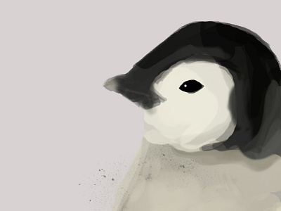 Penguin adobe animal brush calm crop cute fast pale penguin photoshop realistic sketch