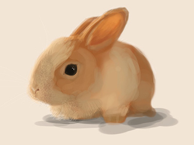 Rabbit adobe animal bunny calm cute drawing fast pale photoshop rabbit sketch small