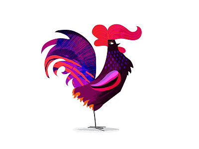 Rooster bird bright col colorful detailed fashion feather illustration rooster tail texture vector