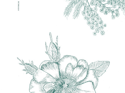 Cosmetic Ingradients cosmetic detail drawing green illustration nature plant rose sketch vintage