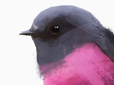 Pink Bird animal bird brush fastsketch head illustration photoshop pink sketch texture